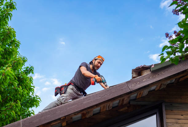 Best Roof Coating and Sealing  in Houghton, MI