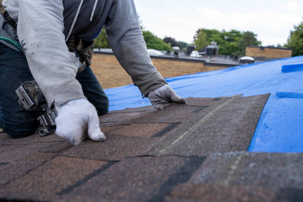 Best Roof Moss and Algae Removal  in Houghton, MI