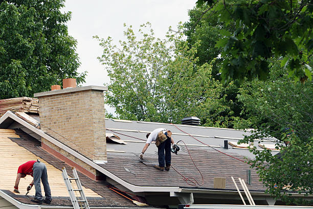 Best Metal Roofing Installation  in Houghton, MI